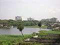 Chetput Pond1.JPG