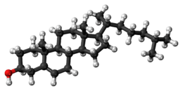 Ball-and-stick model of cholesterol