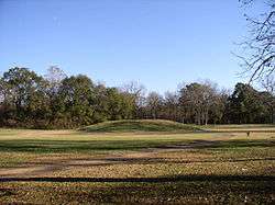 A mound amidst a field of short grass, fallen leaves and a trail