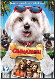 Cinnamon video release poster