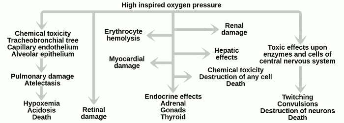 The effects of high inspired oxygen pressure: (1) chemical toxicity, pulmonary damage, hypoxemia; (2) retinal damage, erythrocyte hemolysis, liver damage, heart damage, endocrine effects, kidney damage, destruction of any cell; (3) toxic effects on central nervous system, twitching, convulsions, death.