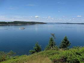 Cobscook Bay from Shackford Head State Park