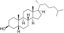 Skeletal formula of coprostanol