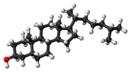 Ball-and-stick model of the coprostanol molecule