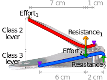 Levers of a compound-lever clipper. Purple triangles denote the fulcrums.