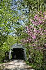 Cox Ford Bridge, IN 1.jpg