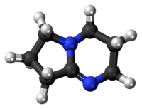 DBN molecule