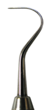 Curved tip of a small metal probe, tapering to a point.