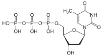 Skeletal formula of thymidine triphosphate, 3- negative charge