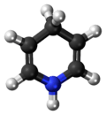 Ball-and-stick model of the dihydropyridine molecule