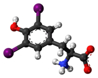 Ball-and-stick model of the diiodotyrosine molecule as a zwitterion