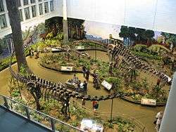 Skeletons of Apatosaurus and Diplodocus