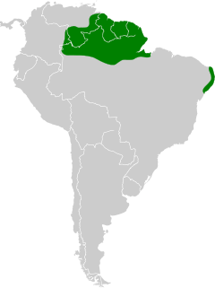 Map of South America with northern Brazil, French Guiana, Guyana, Suriname, southern Venezuela, and the eastern tip of Brazil highlighted in green