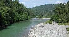 About 10 people are gathered along a rocky shore or swimming in a river in a forest.