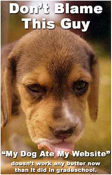 A picture of a brown dog with its tongue out. Superimoopsed over it is white text with the headline "Don't blame this guy" and "'My Dog Ate My Website' doesn't work any better now than it did in grade school" on the bottom.