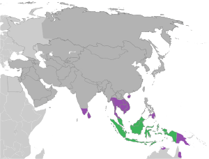 Native distribution of D. zibethinus, the common durian