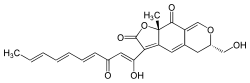 Chemical structure of epicocconone