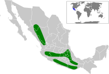 map of Mexico showing three dark green areas in center and west of the country