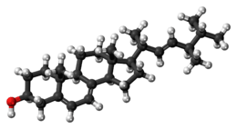 Ball-and-stick model of ergosterol