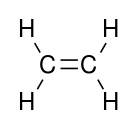 ethylene skeleton