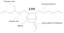 The skeletal formula of ethylene propylene rubber (EPDM).