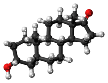 Ball-and-stick model of the etiocholanolone molecule