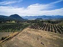 Aerial view of a sunny day near Mascota