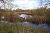 Felmersham Gravel Pits