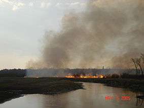 A fire along a stream.