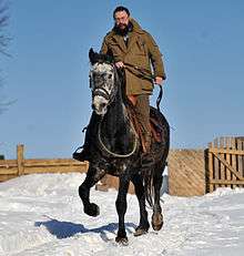 bearded man on horseback