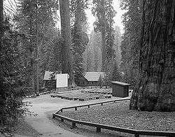 Giant Forest Lodge Historic District