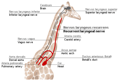 Figure 5e