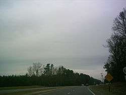 Cloudy sky and trees, photographed from a road