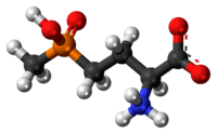 Ball-and-stick model of the glufosinate zwitterion