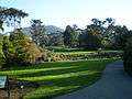 Golden Gate Park 07.JPG