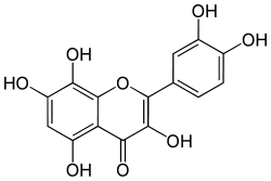 Skeletal formula of gossypetin