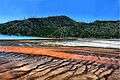 Grand Prismatic Spring in Yellowstone.jpg