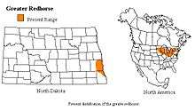 The distribution of the Greater Redhorse extends latitudinally from southeastern North Dakota to eastern New York and longitudinally from northern Michigan to southern Ohio.