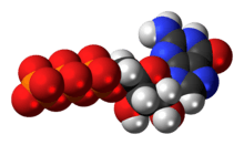 Space-filling model of the guanosine triphosphate anion