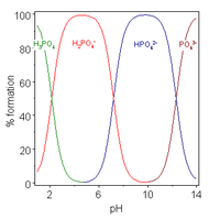 Acids with more than one ionizable hydrogen atoms are called polyprotic acids, and have multiple deprotonation states, also called species. This image plots the relative percentages of the different protonation species of phosphoric acid H 3 P O 4 as a function of solution p H. Phosphoric acid has three ionizable hydrogen atoms whose p K A's are roughly 2, 7 and 12. Below p H 2, the triply protonated species H 3 P O 4 predominates; the double protonated species H 2 P O 4 minus predominates near p H 5; the singly protonated species H P O 4 2 minus predominates near p H 9 and the unprotonated species P O 4 3 minus predominates above p H 12