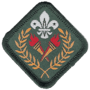 HKSAR Scout Award.png