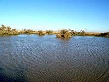 Hafar Al-Batin in Winter 001.jpg