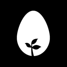 A white egg on a black background. A sprout is growing from the bottom of the egg.