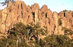 A brown stone monolith with trees in the foreground