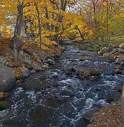 A stream with some rapids and rocks flows along a curved section between rocky shores with autumn leaves on the trees sheltering it