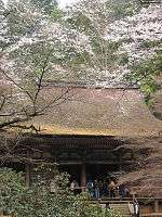 Wooden building with open railed veranda and slightly raised floor.