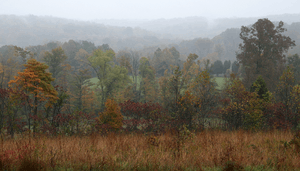 A hazy fall day over the hills in Hoosier National Forest.