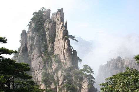 A gray mountain in the middle of a forest.