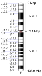 Map of Chromosome 11