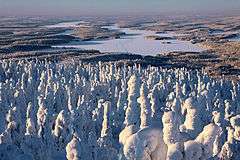 Iijärvi from Iivaara in winter